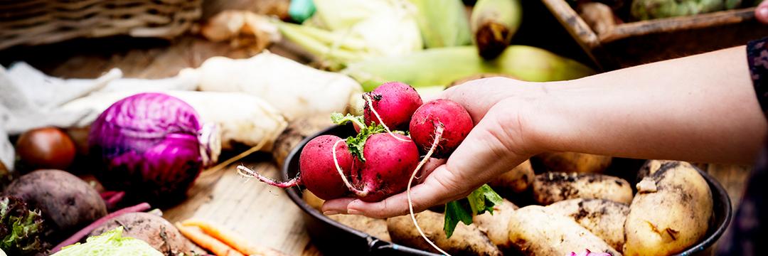 Alimentos orgânicos: 5 motivos para incentivar o seu consumo